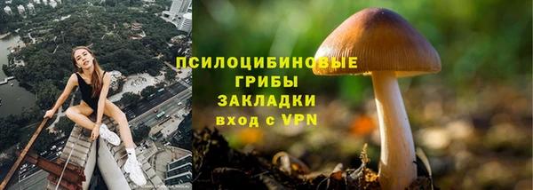 a pvp Абдулино